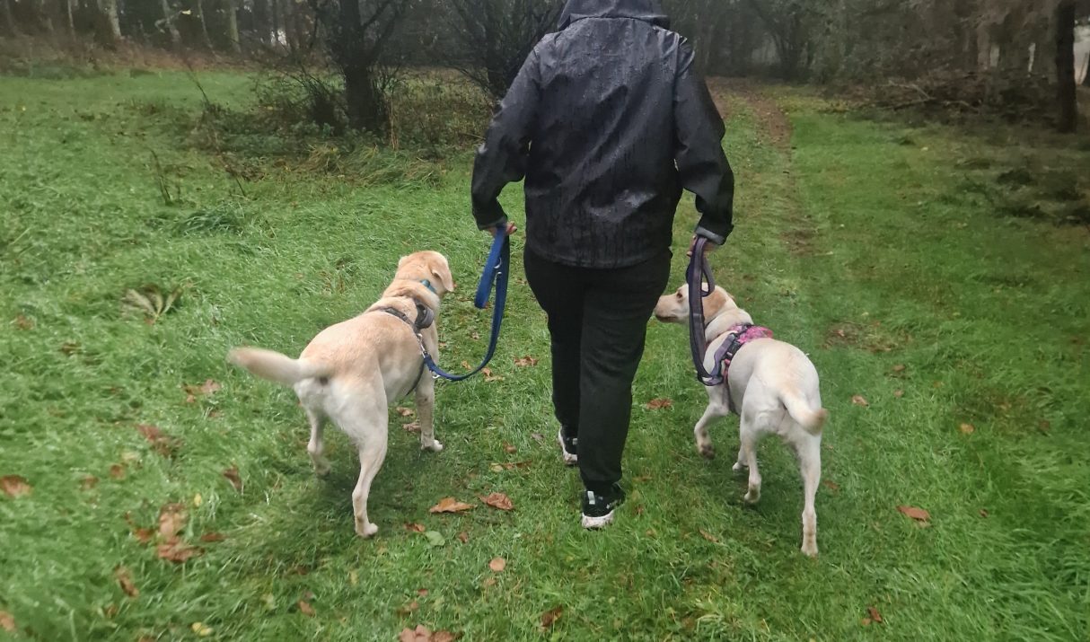 But I got a dog because I enjoy walking