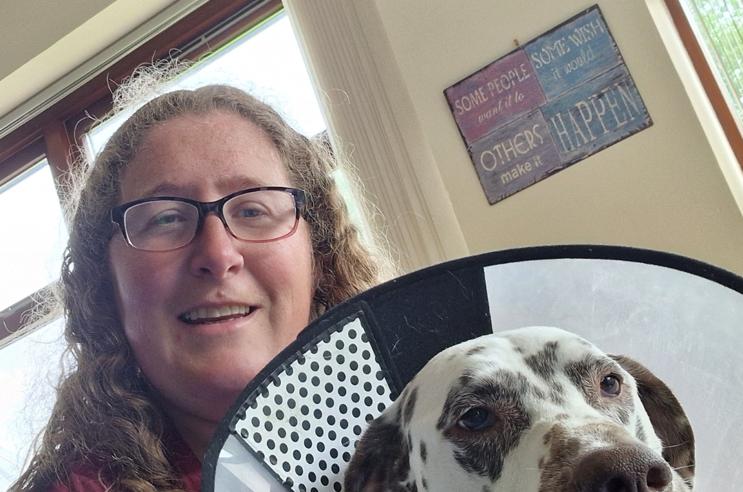 What to Do With a Dog Who Can’t Go for Walks: Gentle, Fun Activities for Dogs on Restricted Exercise